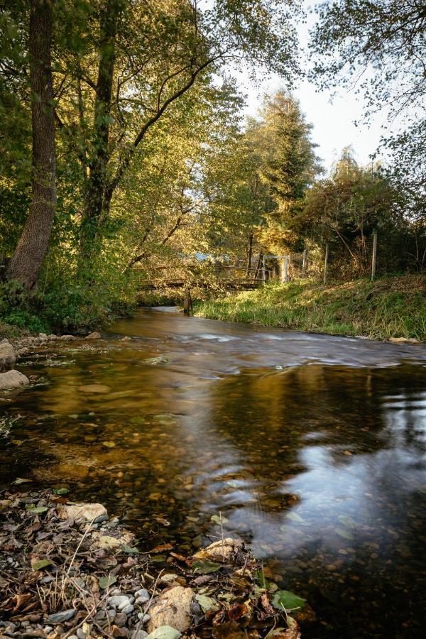 Villa Wypoczynek U Piotra Susiec Exterior foto